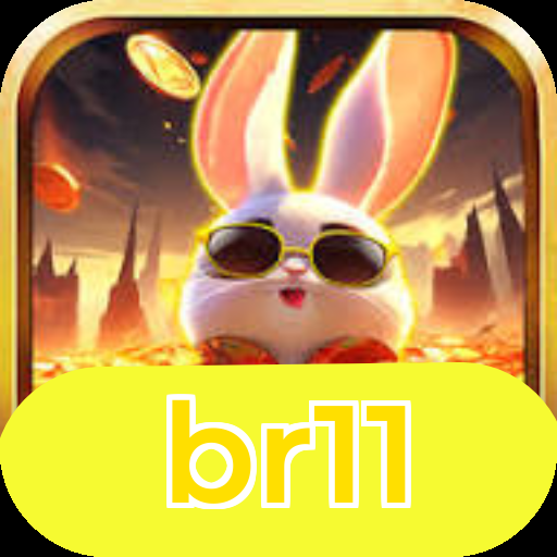 br11 Logo